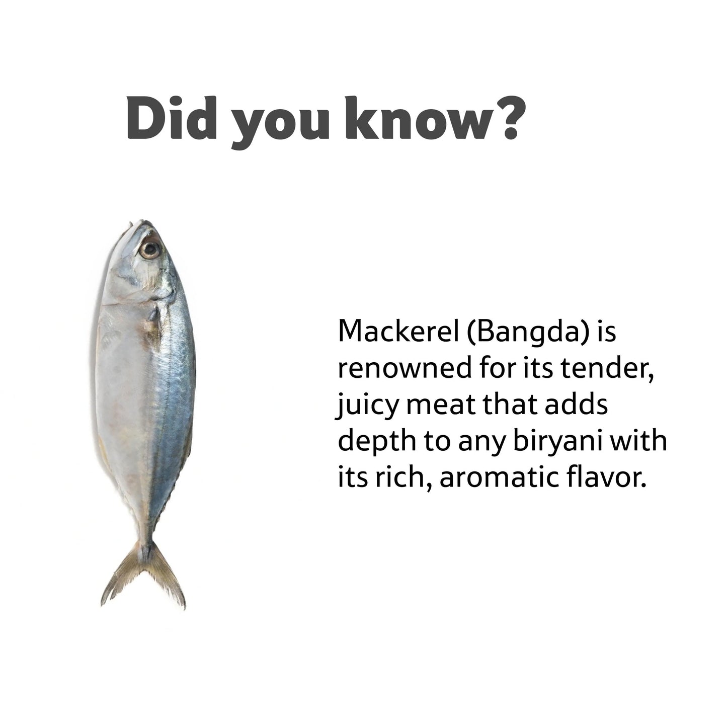 Sea Water Mackeral BangdaBig Cleaned, Gross 1.5 Kg, Net 1.3 Kg