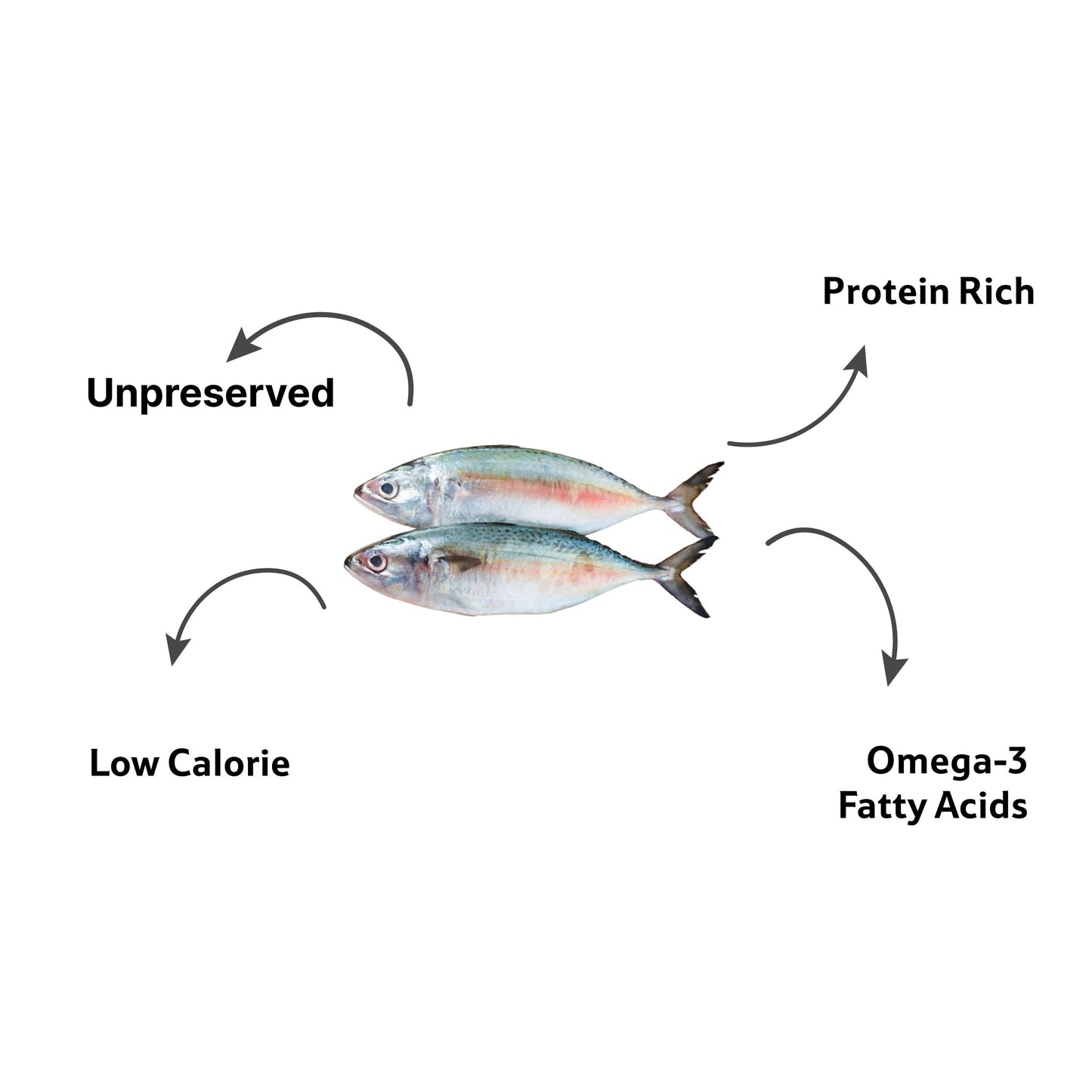 Sea Water Mackeral BangdaBig Cleaned, Gross 500 g, Net 420 g