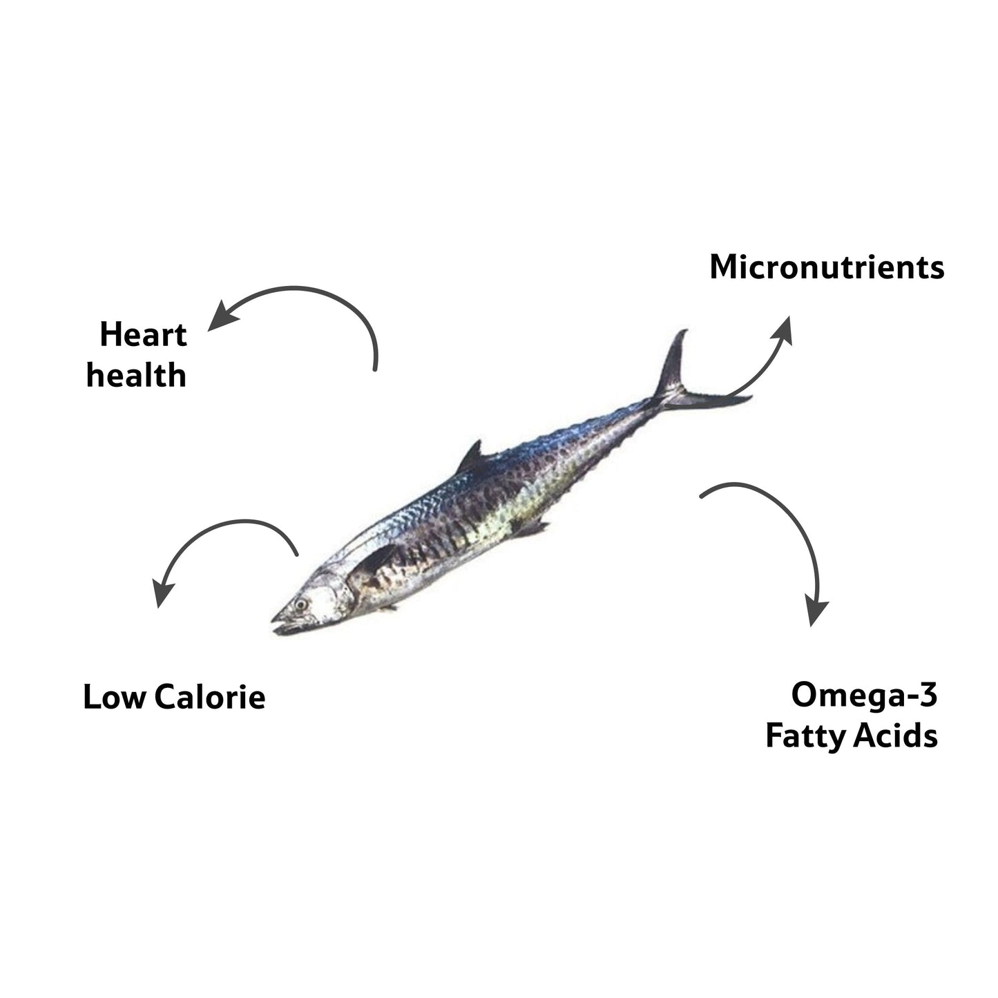 Sea Water Seer Large Fillet, Gross 700 g, Fillet 595 g