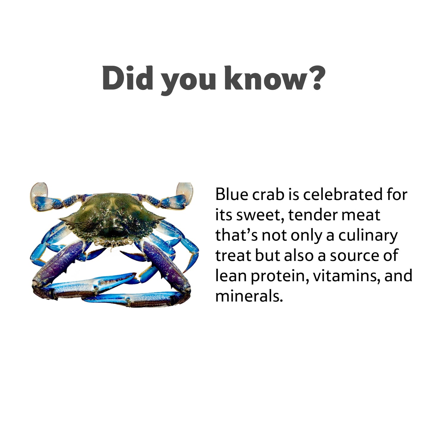 Sea Water Blue Crab Cleaned, Gross 1.1 Kg, Net 700 g