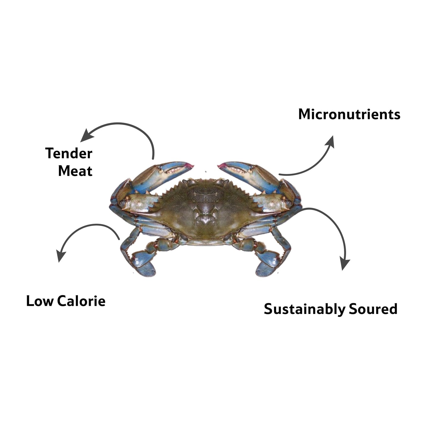 Sea Water Blue Crab Cleaned, Gross 1.1 Kg, Net 700 g