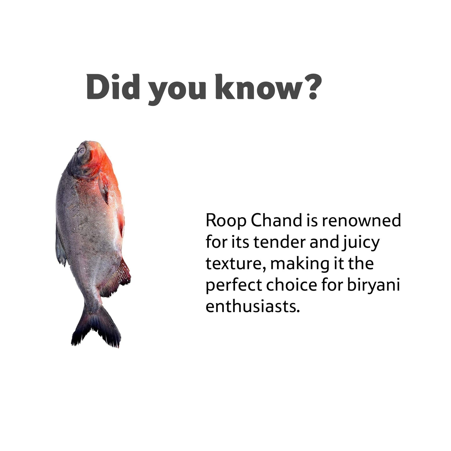 Fresh Water Roop Chand Cleaned, Gross 2 Kg, Net 1.7 Kg