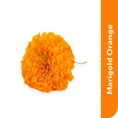 Marigold Orange Flower, 500 g