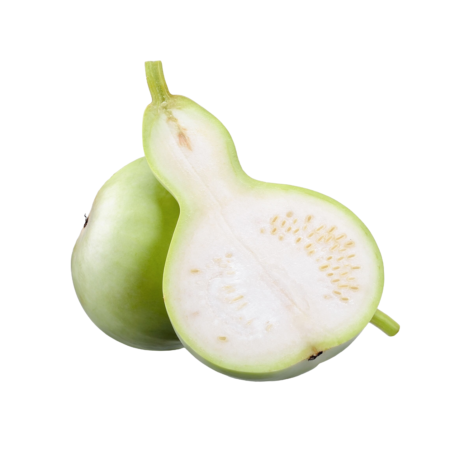 Starfresh Bottle Guard(Lauki) ~ 800 gm