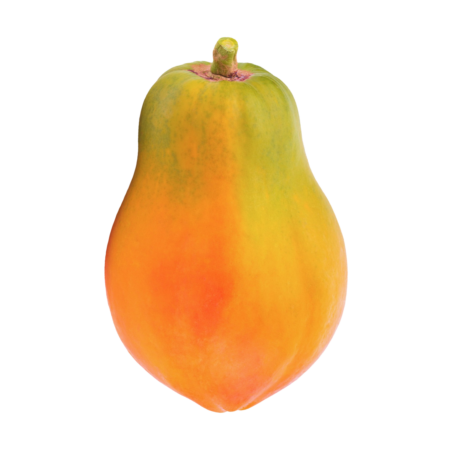Papaya Disco, 1 Pc