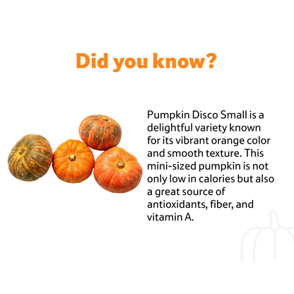 Starfresh Pumpkin Disco ~ 1 Kg