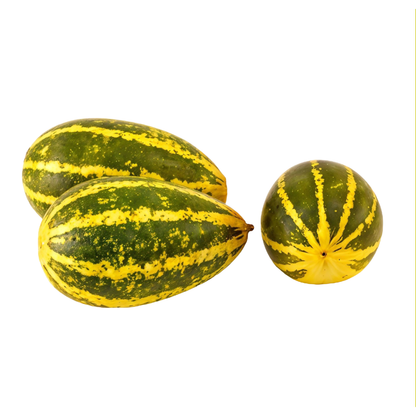 Starfresh Cucumber Madras ~ 600 g