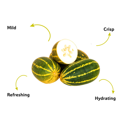 Starfresh Cucumber Madras ~ 600 gm
