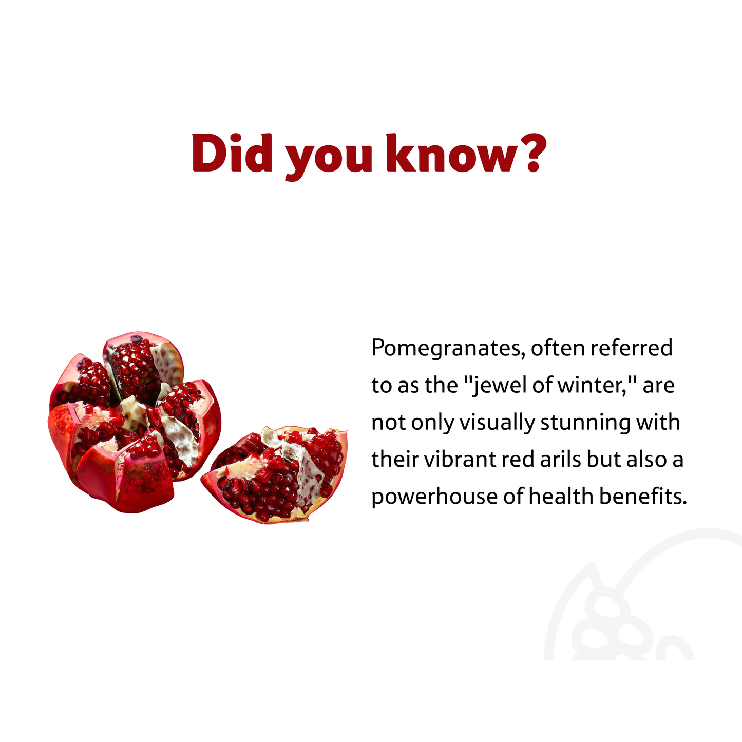 Starfresh Pomegranate Red ~ 1.6 kg