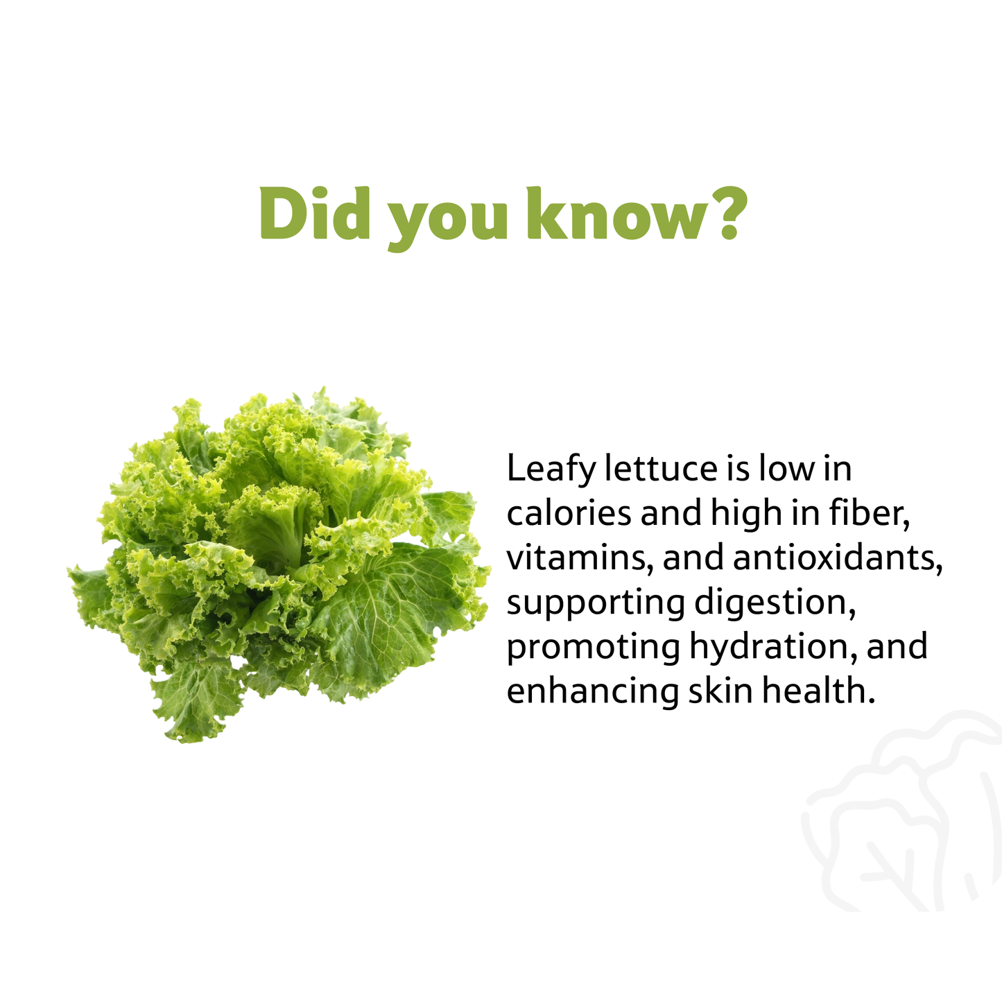 Lettuce Leafy, Prepack 120 g