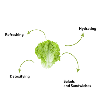 Starfresh Lettuce Leafy prepack about 120 gm