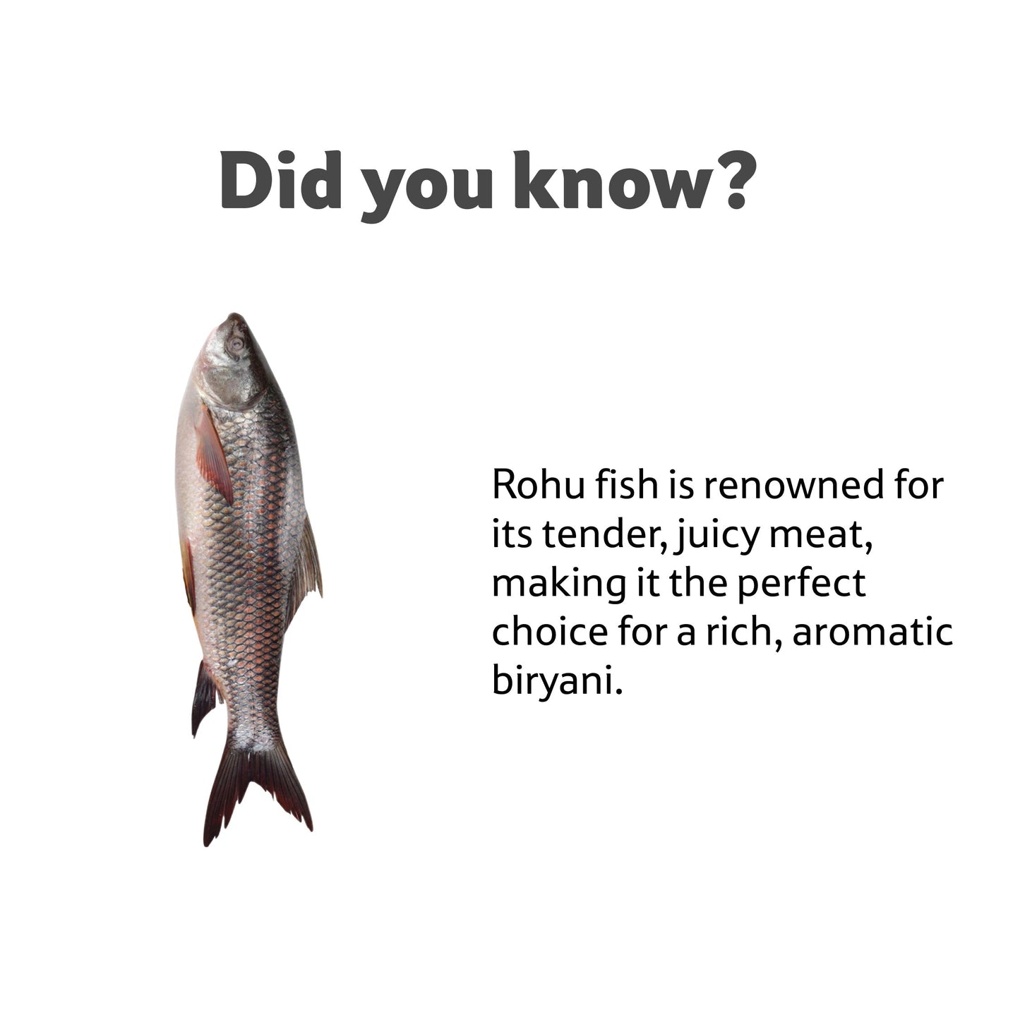Starfresh Fresh Water Rohu Whole (Bengali Curry Cut) ~ 1-1.5 Kg