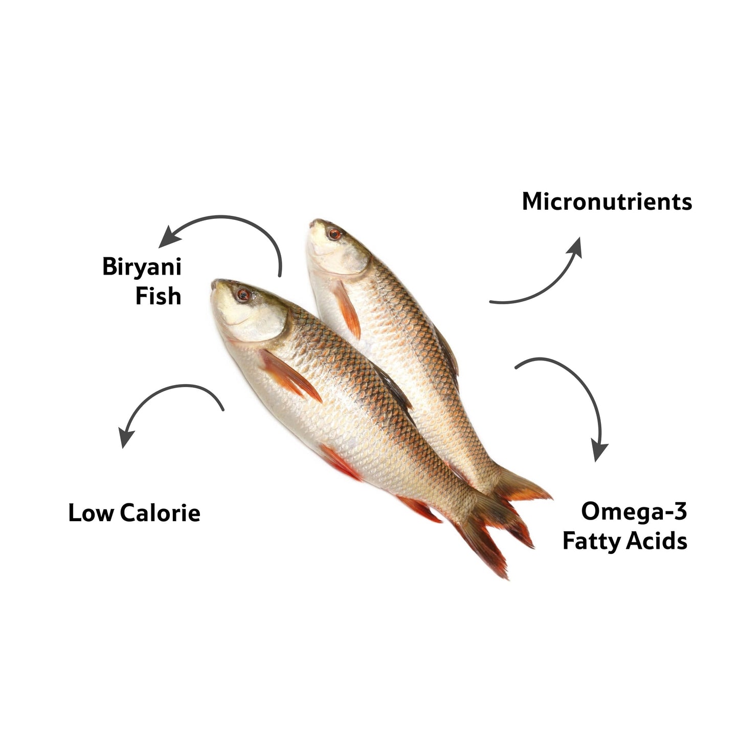 Starfresh Fresh Water Rohu Whole (Bengali Curry Cut) ~ 1-1.5 Kg