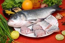 Fresh Water Catla Whole Round Cut, ~1.2–2 Kg