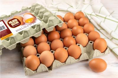 Nutri Hatch Brown Eggs pack of 30