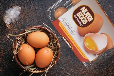 Nutri Hatch Brown Eggs pack of 6