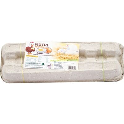 Nutri Hatch White Eggs pack of 12