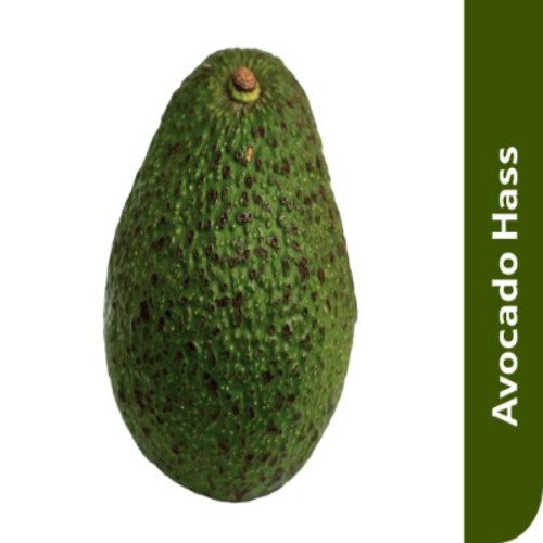 Starfresh Avacado Hass Imported 1 Pc
