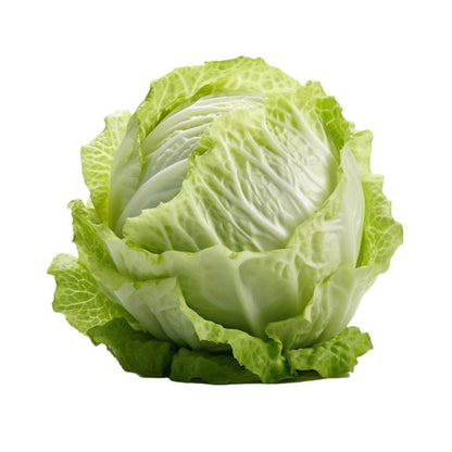 Lettuce Iceberg 1 pc