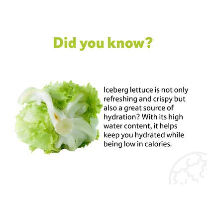 Lettuce Iceberg 1 pc