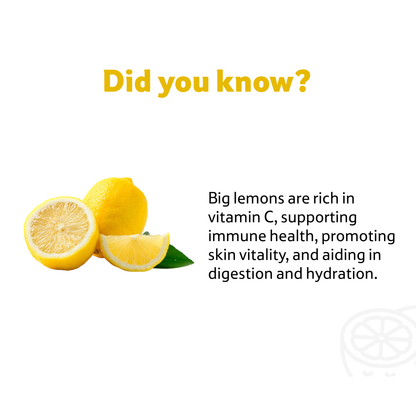 Lemon Big, 1 Pc