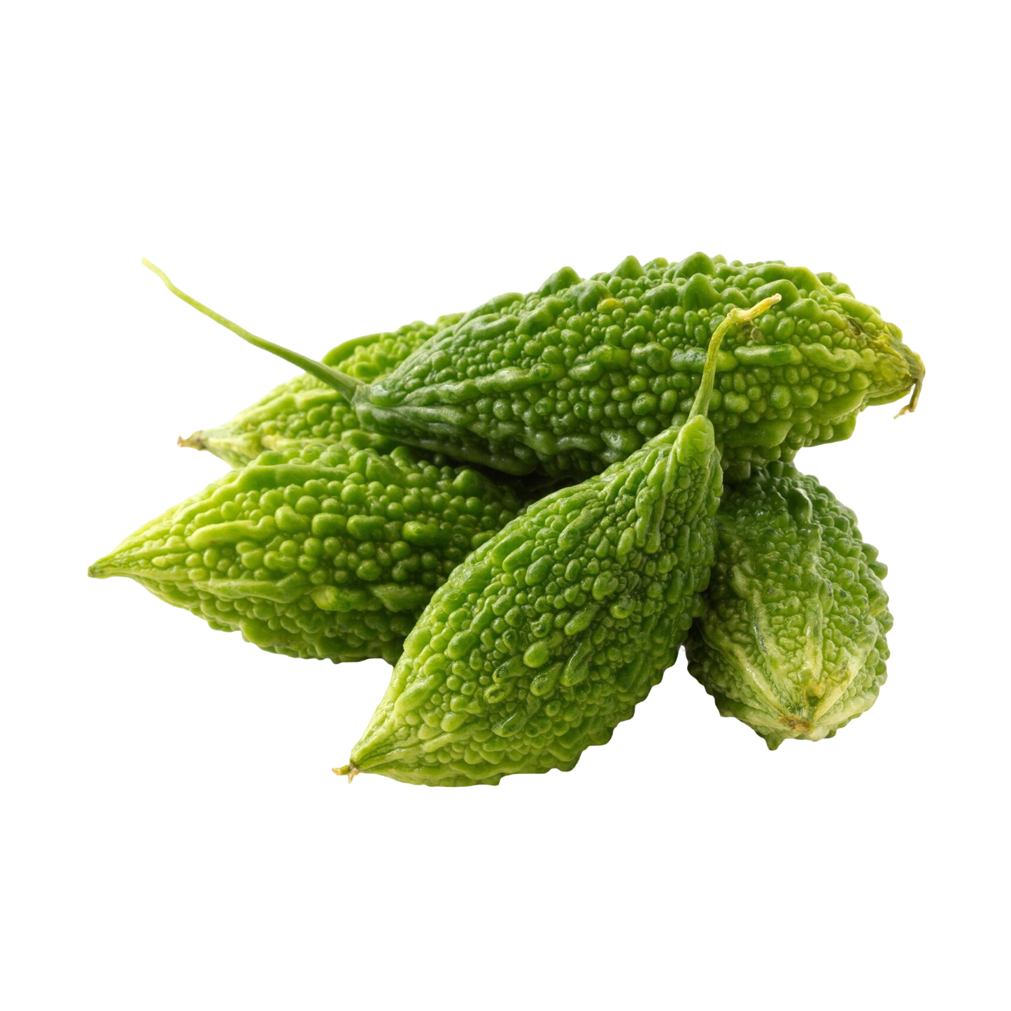 Bitter Gourd Karela Green, Prepack 250 g