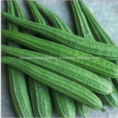 Starfresh Ridge Gourd (Turai) ~ 250 -300 g