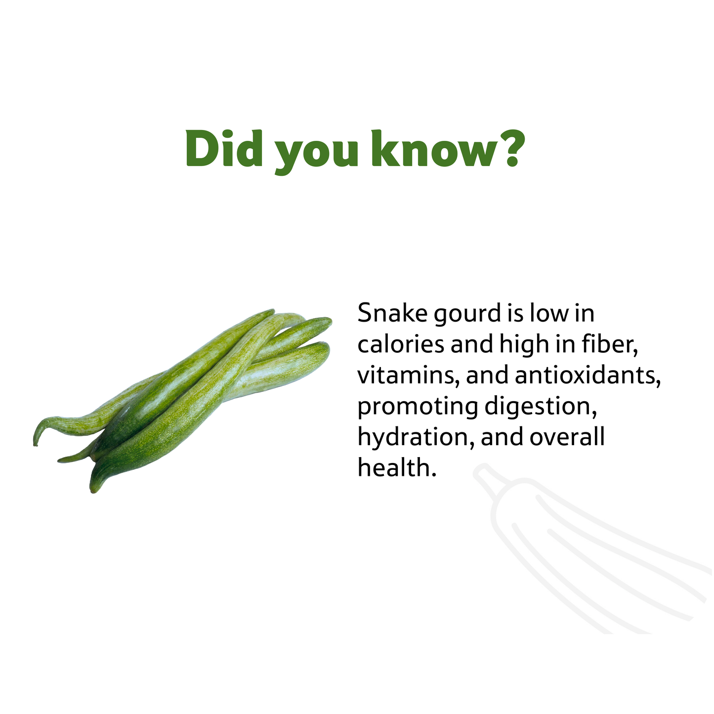 Starfresh Snake Gourd ~ 250 -300 g
