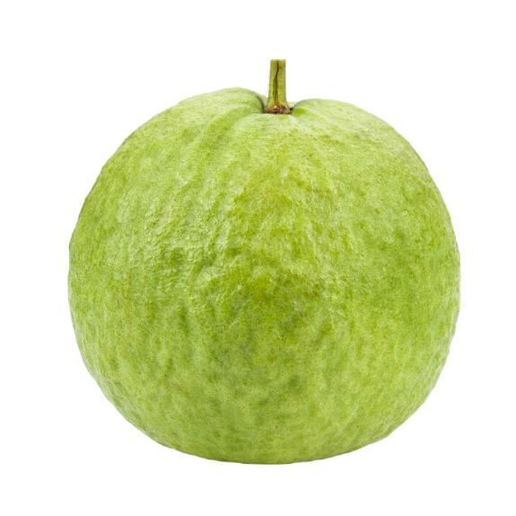 Starfresh Guava Jumbo ~ 450 -500 g