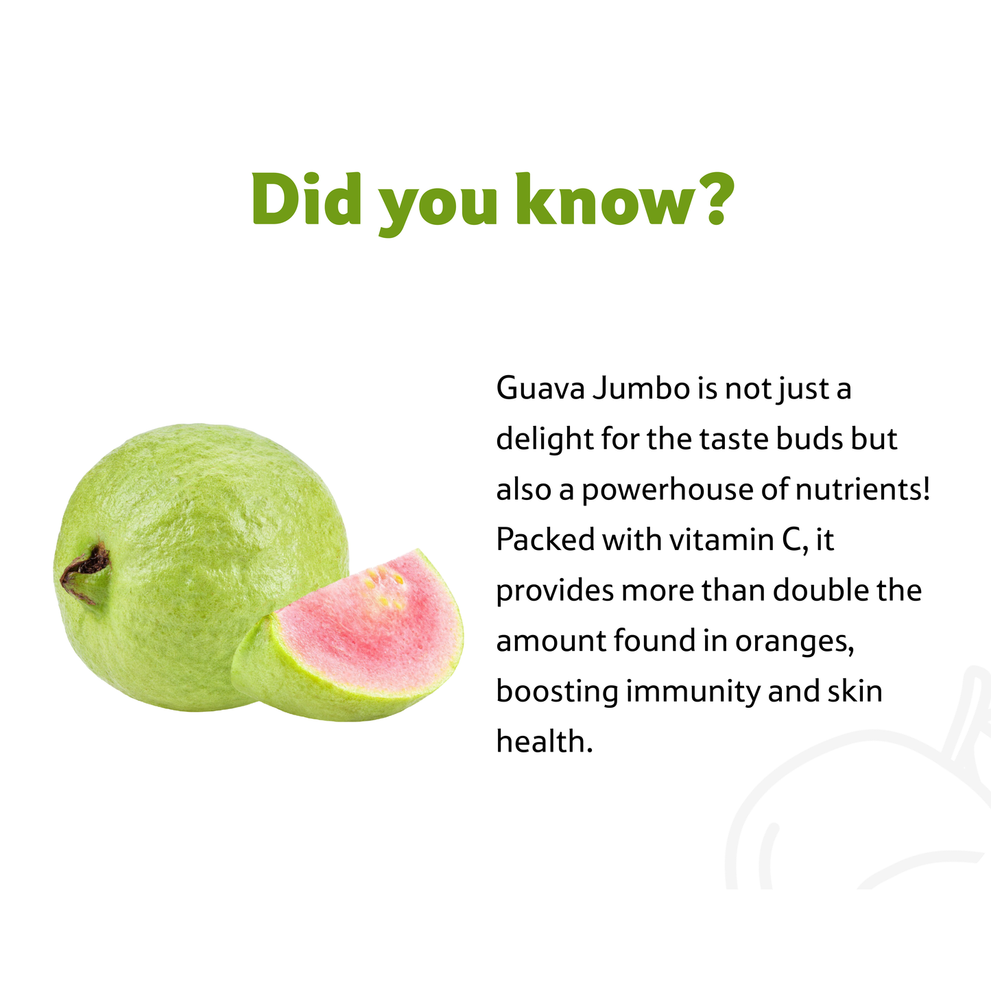 Starfresh Guava Jumbo ~ 450 -500 g