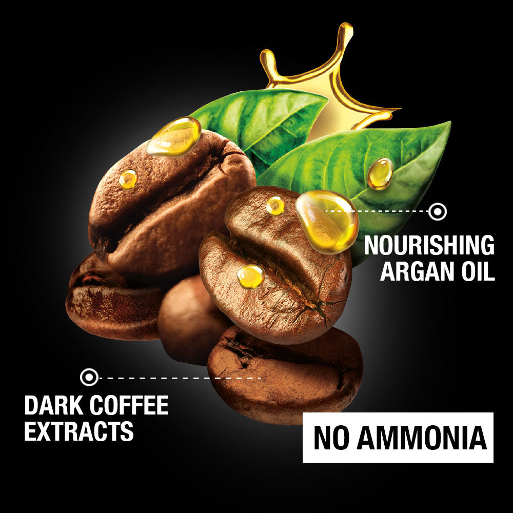 Garnier Brown Black Color Men Shampoo 200 ml