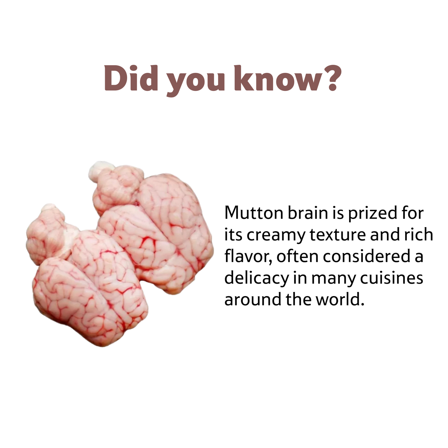 Starfresh Mutton Brain 1 pcs