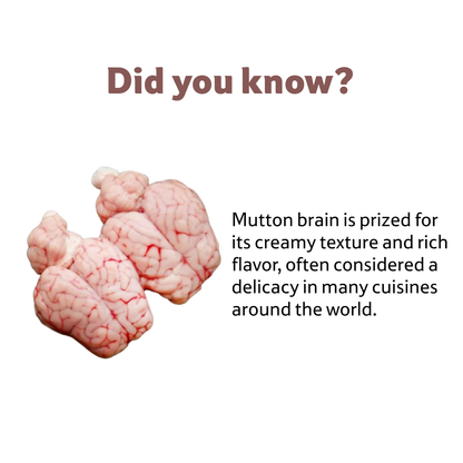 Starfresh Mutton Brain 1 pcs