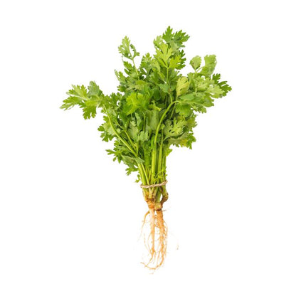 Coriander Premium, 1 Bunch