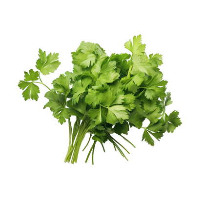 Coriander Premium, 1 Bunch
