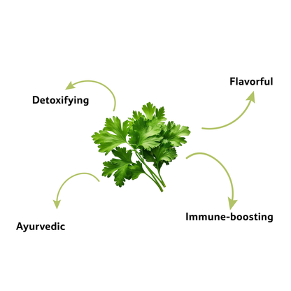 Coriander Premium, 1 Bunch