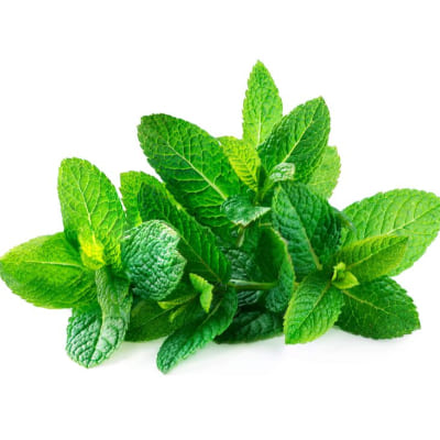 Starfresh Mint Premium 1 bunch