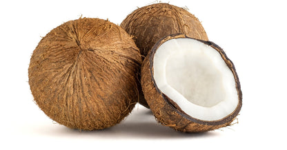 Coconut, Pack of 4 Pcs