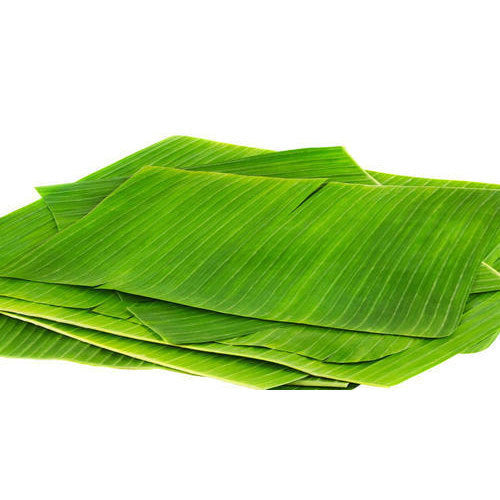 Banana Leaves, Prepack 6 Pcs