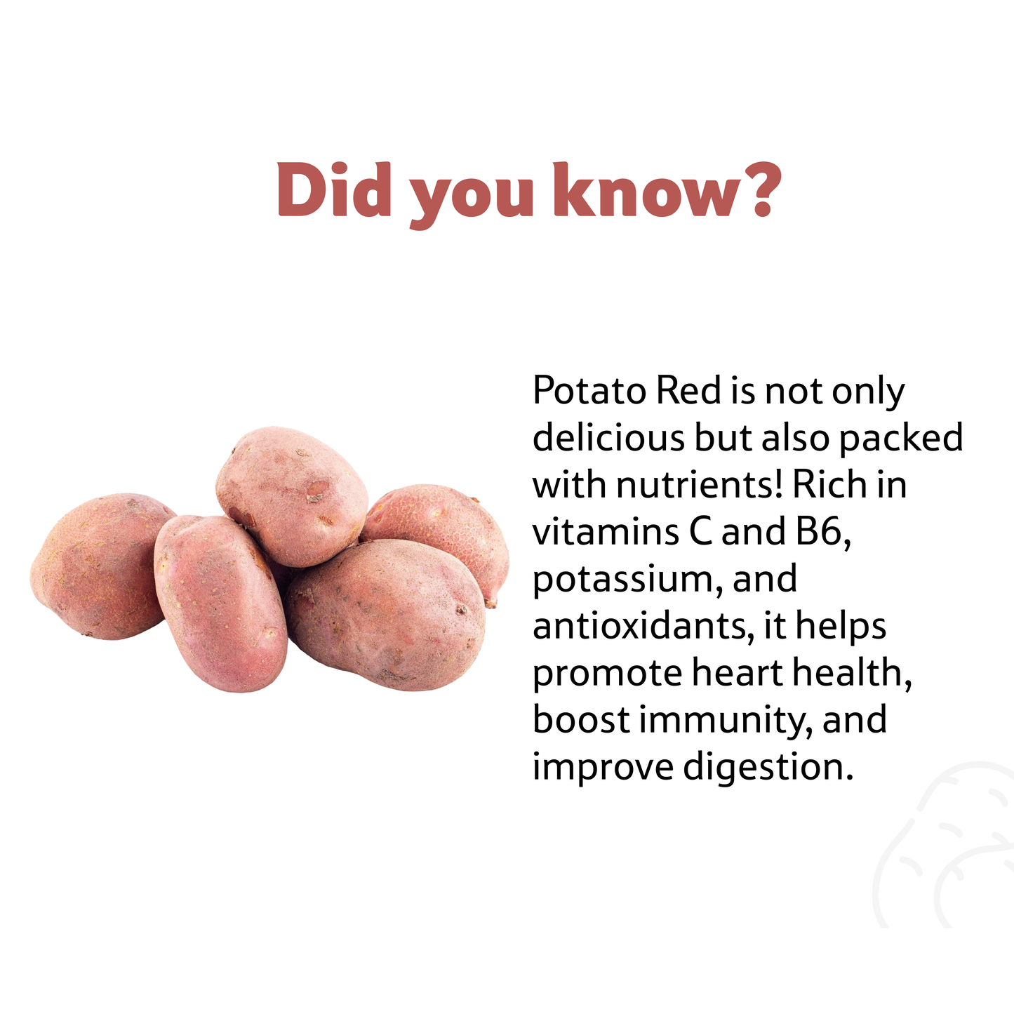 Potato Red 500 g