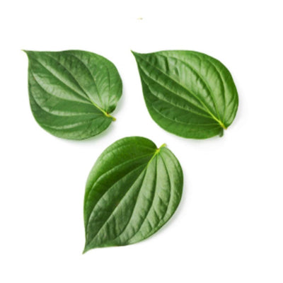 Beetle Leaves, Prepack 1 Pcs