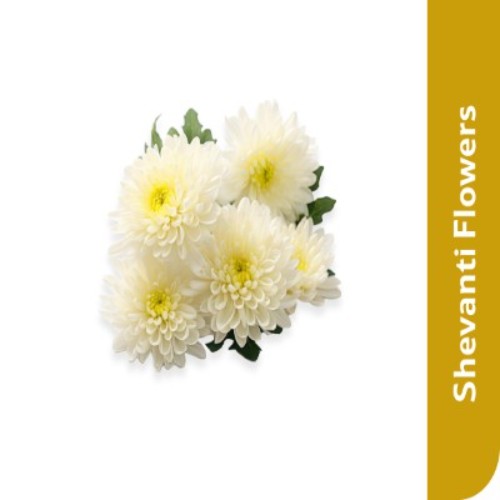 Shevanti Flower, 500 g