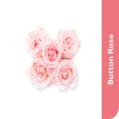 Button Rose, 1 Kg