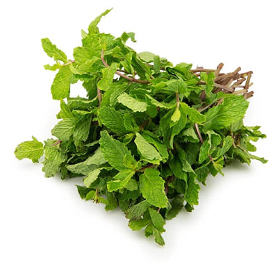 Truganic Mint, Prepack 90 g
