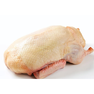 Fresh Imported Whole Duck about 2-2.5 kg