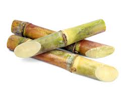 Sugarcane Whole, 1 Pc