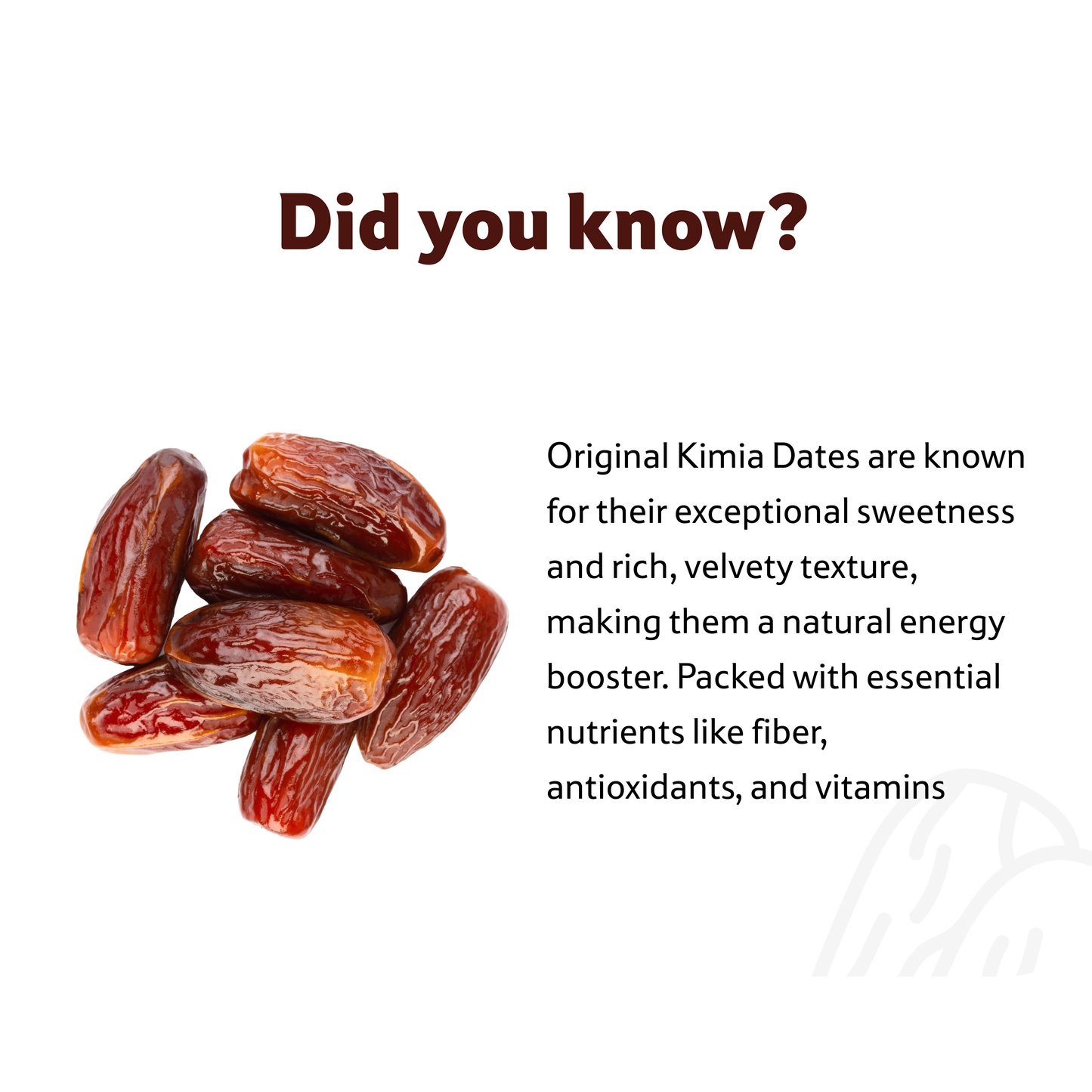 Original Kimia Dates, Prepack 400 g