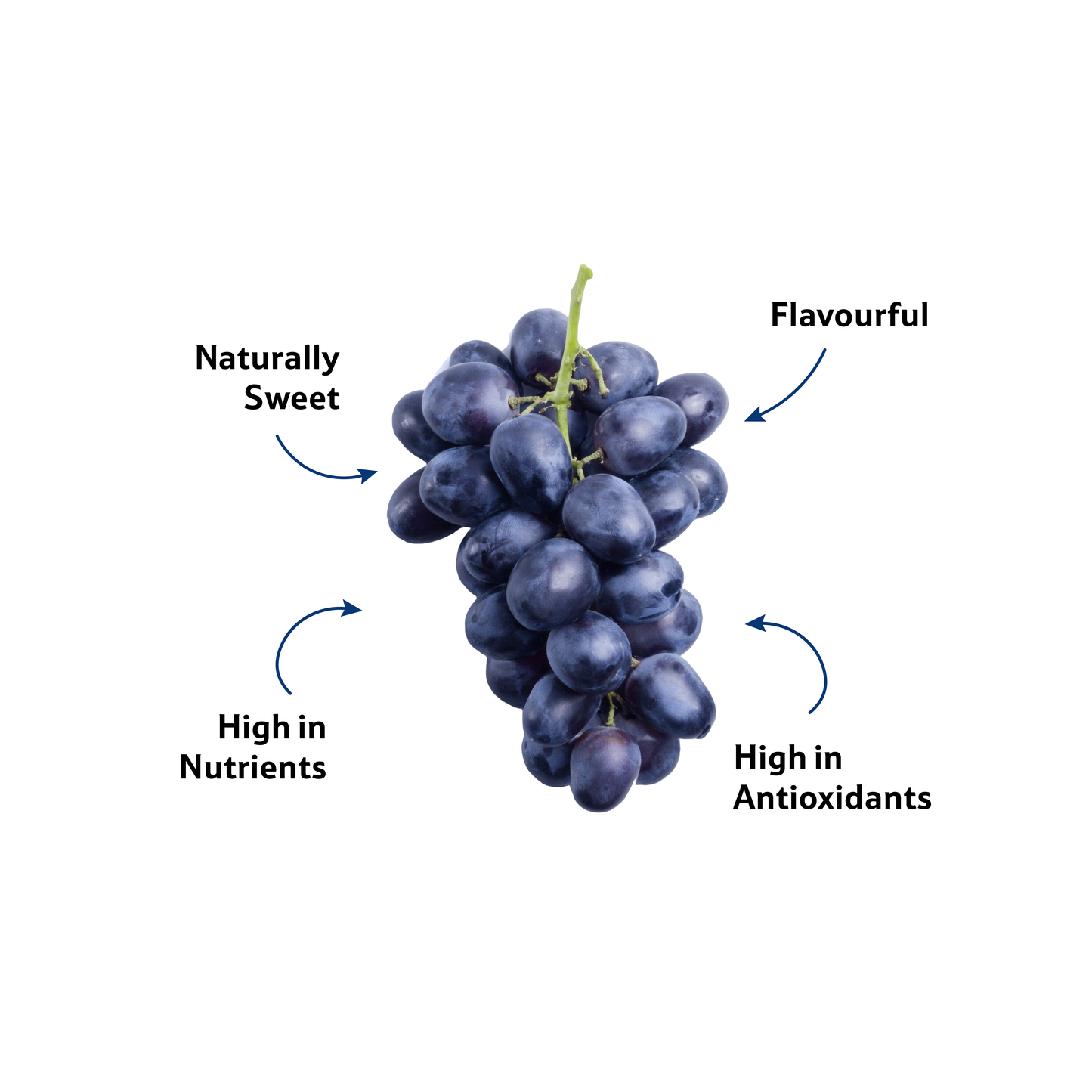 Grapes Bangalore Blue, Prepack 500 g