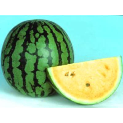 Starfresh Watermelon Devyani (Yellow Flesh) ~ 1.8-3 kg