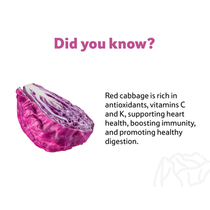 Red Cabbage, Prepack 300 g